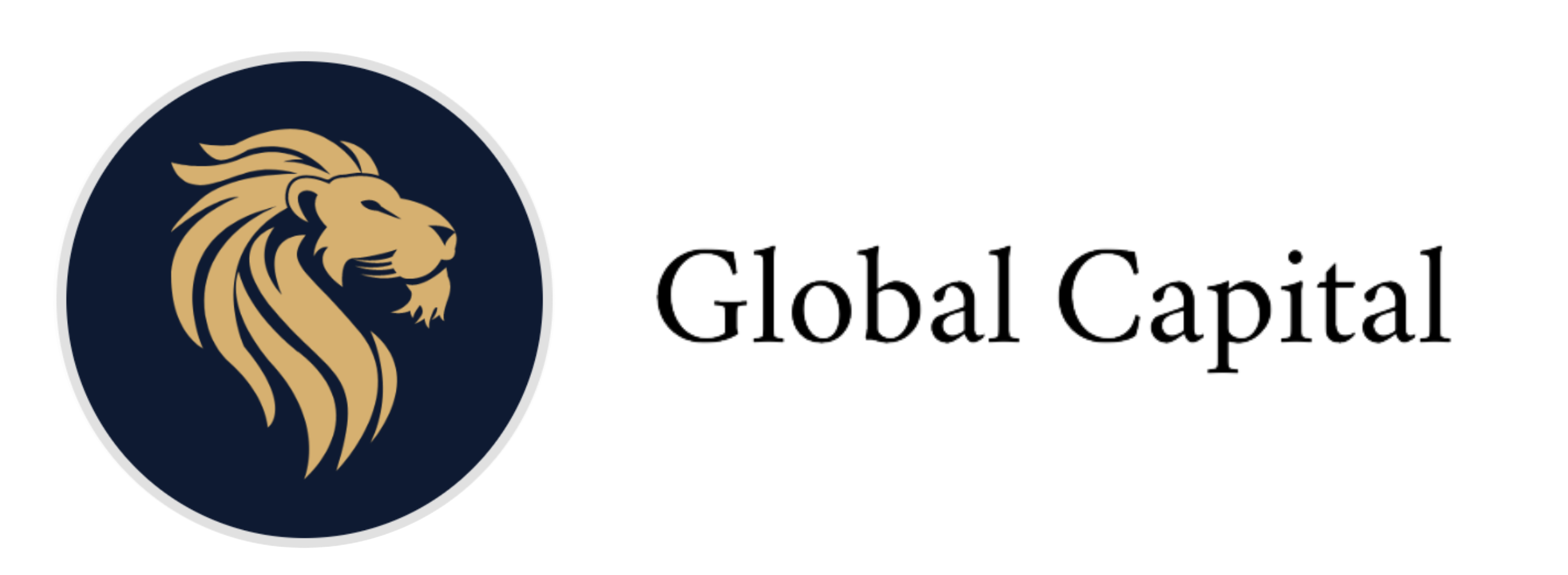 Global Capital_qsgdr