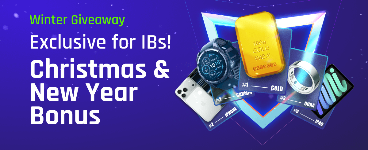 Blog-ibnewsletter-wg25-EN_vhzrd